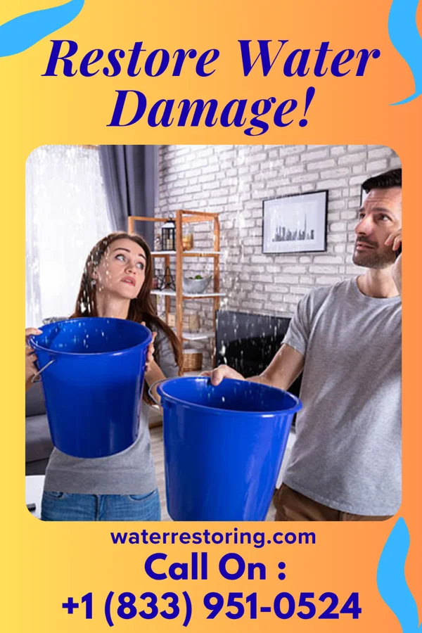 water restoration Pacific Sewage Cleanup Masters New Haven