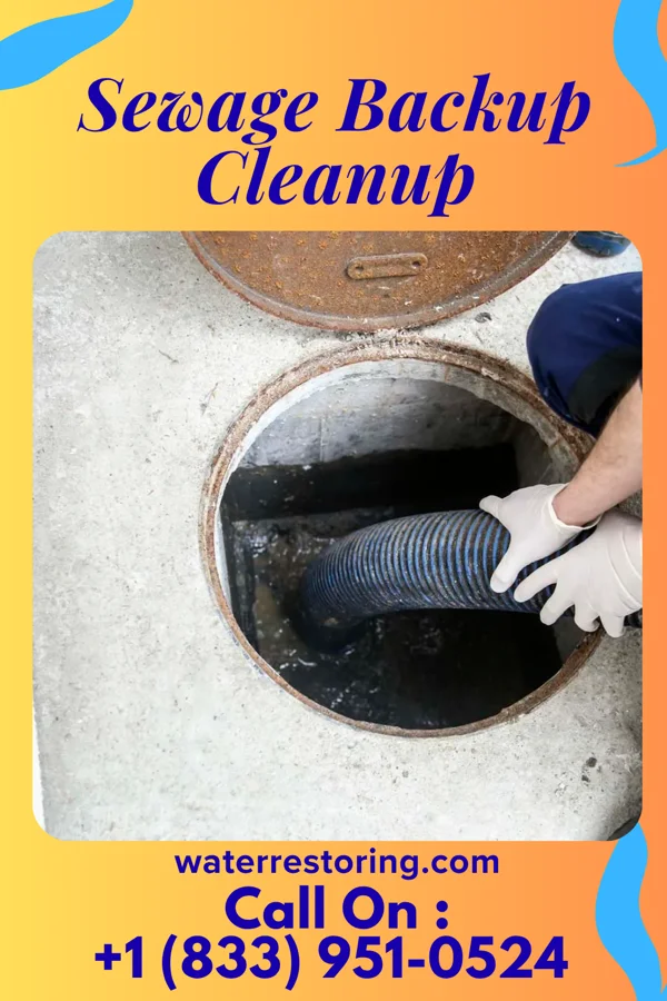 Sewage Backup Cleanup in New Haven, IL